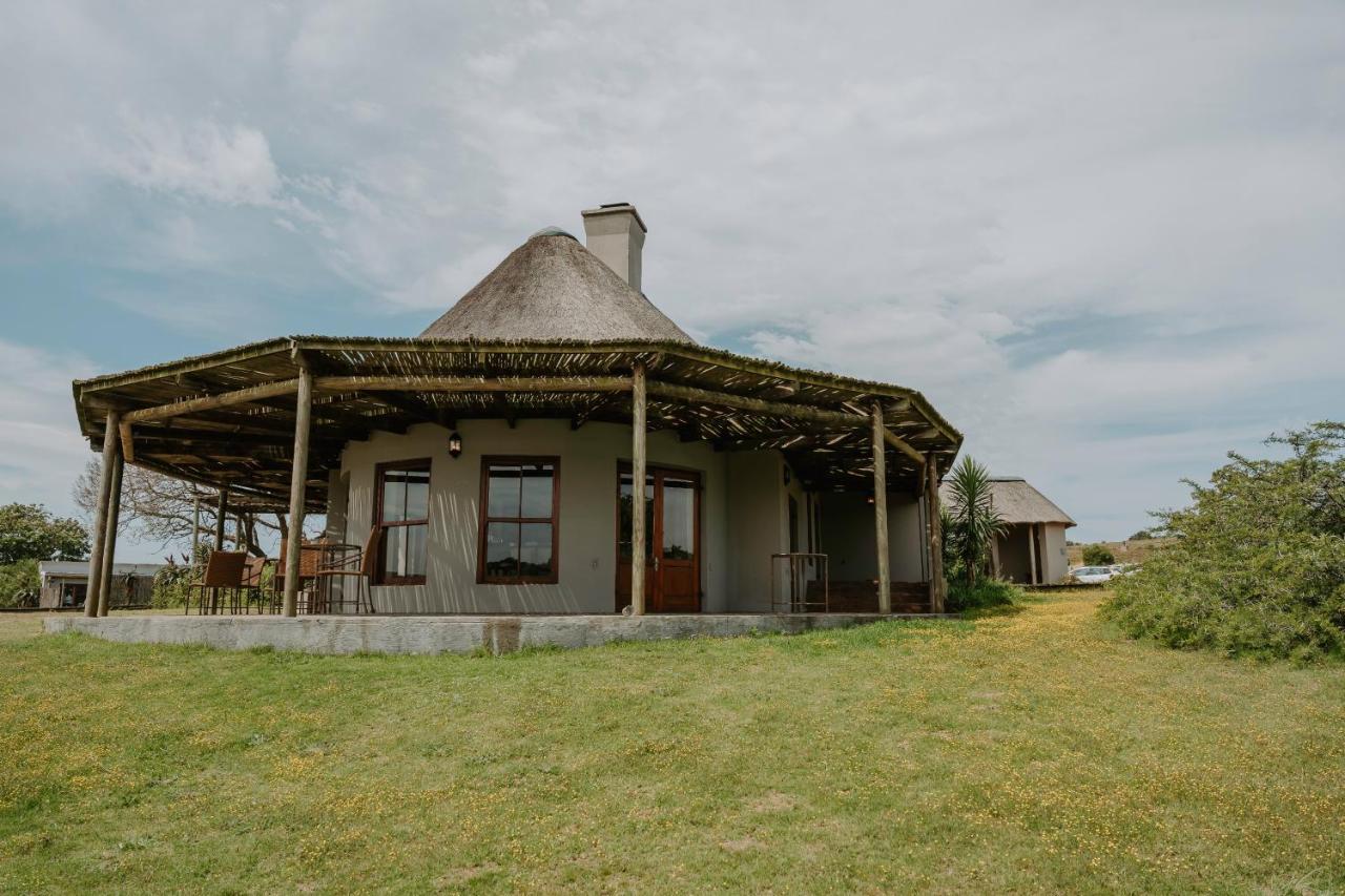 Hlosi Game Lodge - Amakhala Game Reserve Buyskloof Exterior foto